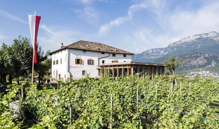 Hotel Ristorante Ansitz Rungghof a Cornaiano